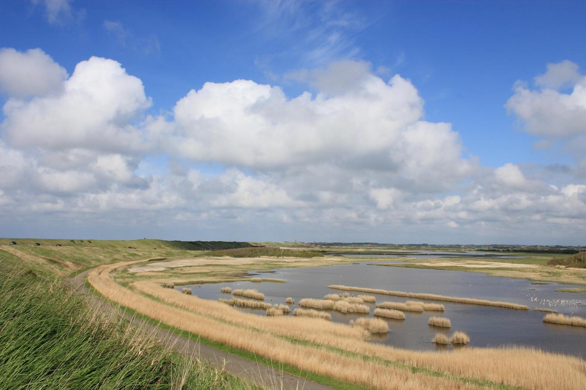 103D Nieuwe Vakantiewoning Met Sauna Westkapelle Kültér fotó